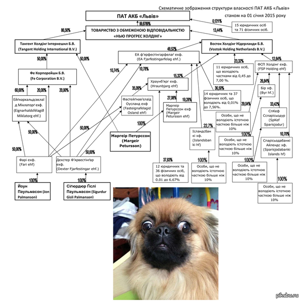 Просто прозрачная структура собственников одного из банков  (с недавних пор нацбанк раскрыл инфо про собственников)