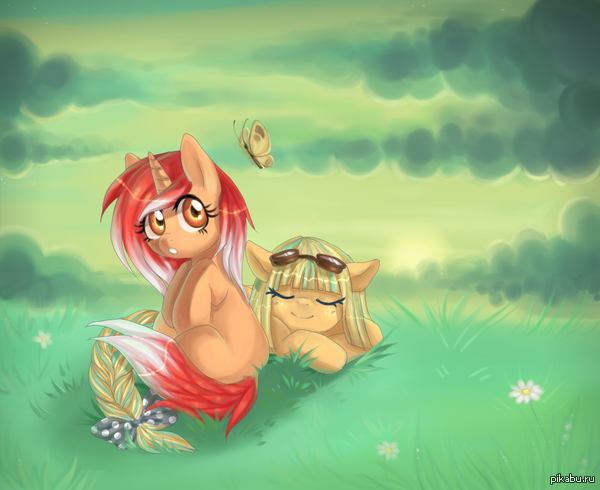 �������������