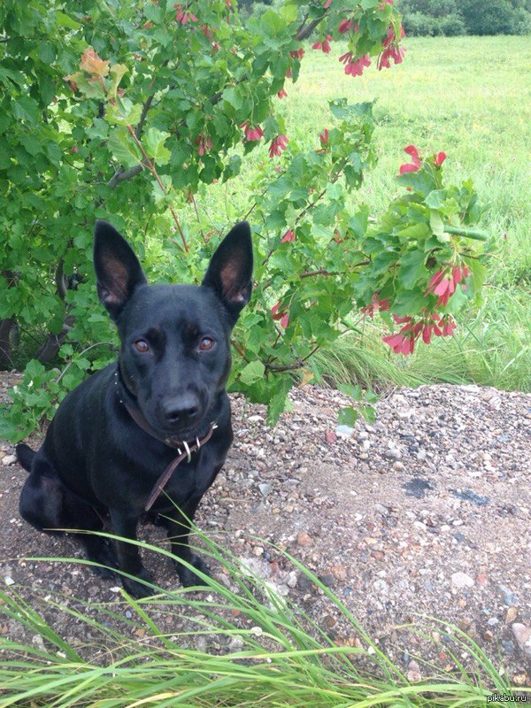 ������ ������ ������, � � ���������� � �����������������