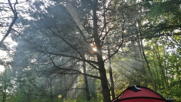 Вечер на природе