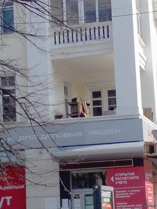 ������� ������ ������� ����������� �������