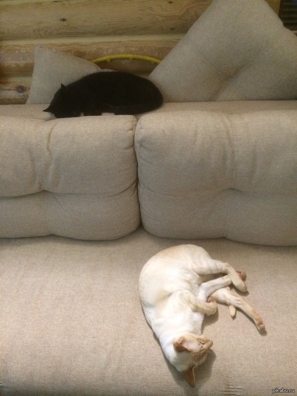 ������� ��� � ���...)