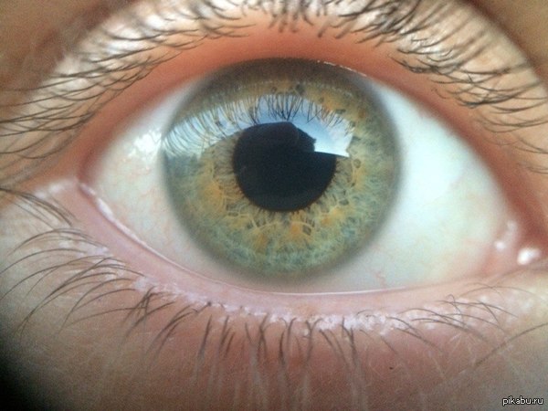 Макро на айфоне.