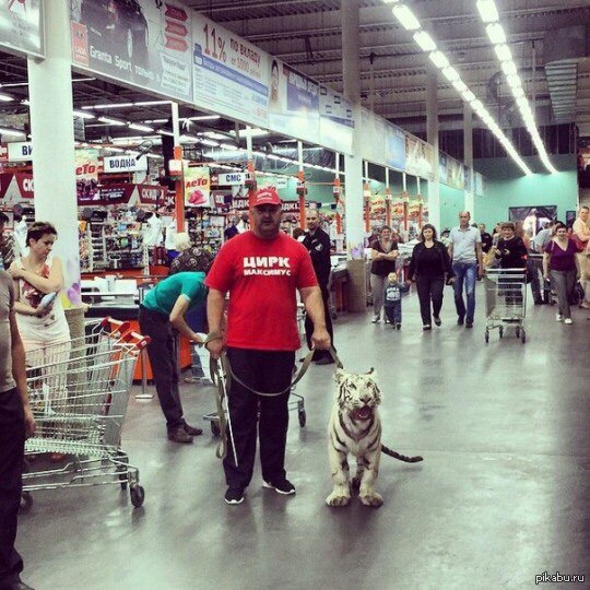 Посетители в магазине