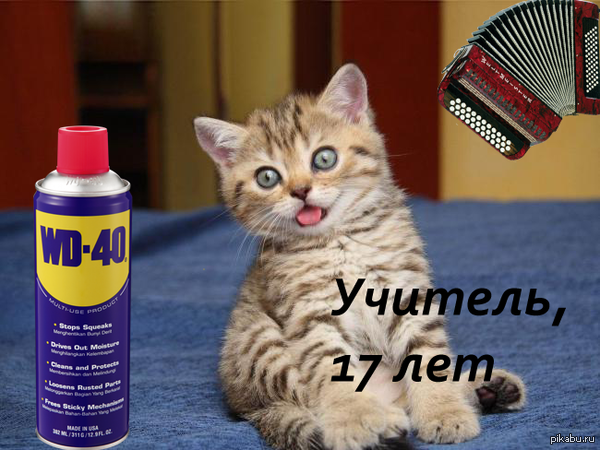 Теперь то я попаду в горячее ?)