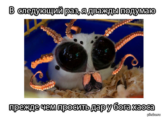 ����� � ����� ������ �����!