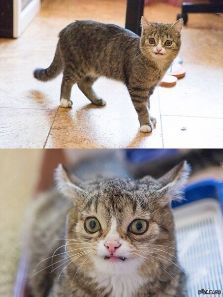 ���� ����, ����� �������� � ����� :D