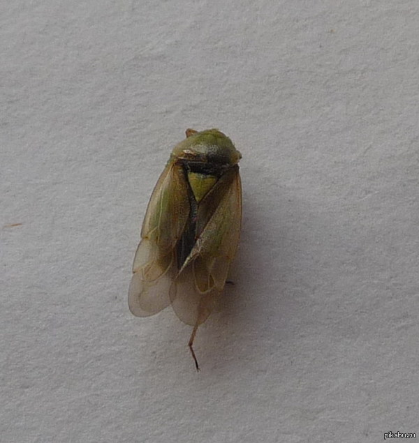 ������������, ������� ���������! ���������!  �� ������� ������� �������� ��� ����� ���������, �������� ����� 5��: