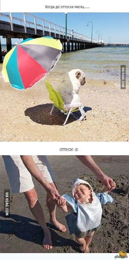 ����� ���� ������� ... � ��� ������ ))