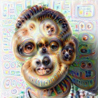 ��������������� ����� �����