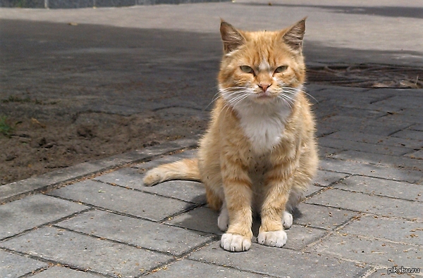 Максимум суровости.