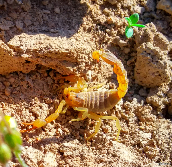 �������� �����, �������� ��� ����� ������ ��������. �������� ���������