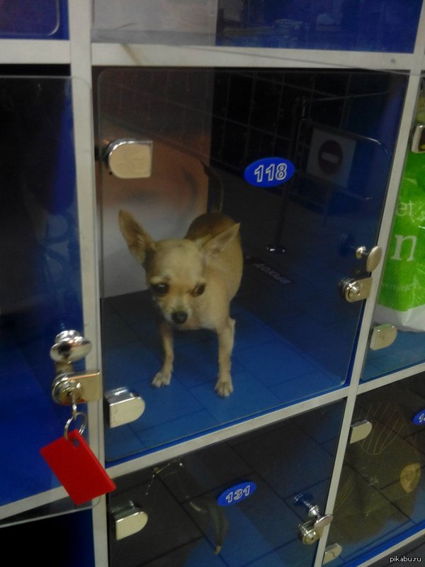 ��������� �����