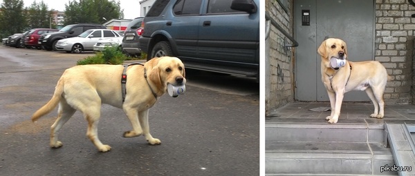 ��� ������������� ���