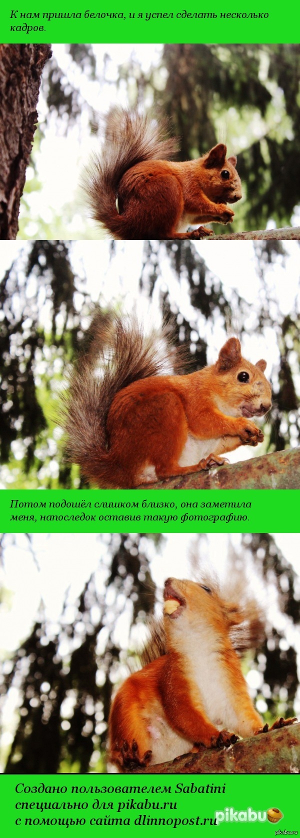 ������������ ������..)