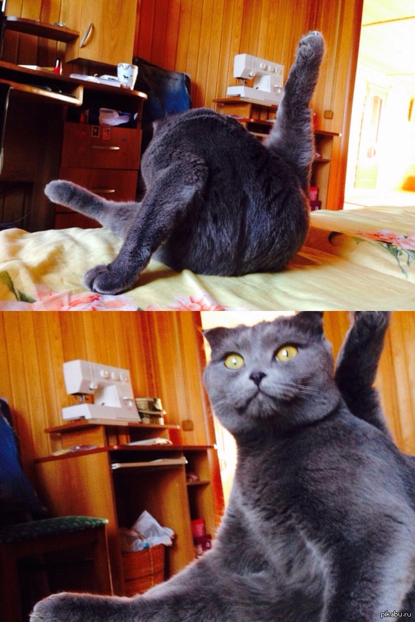 Утро добрым бывает?🙈😄