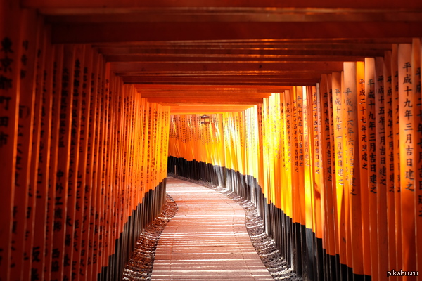 Fushimi Inari        top 3    .        .    .