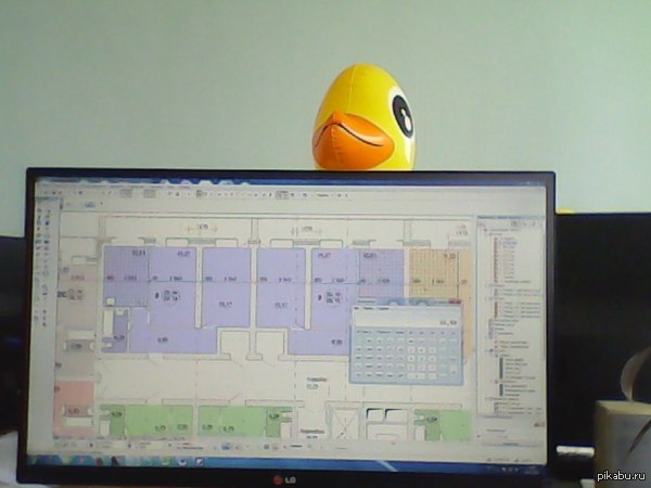 Псс, парень, не хочешь немного безумия?