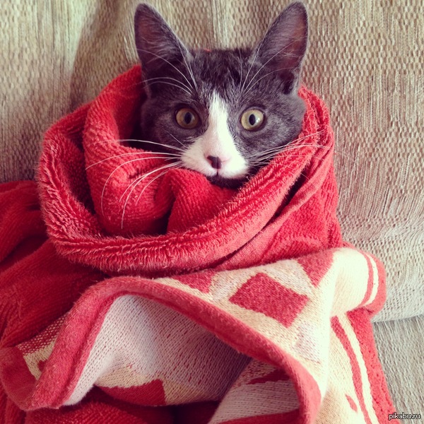 ����� ���� ������ ��� =)