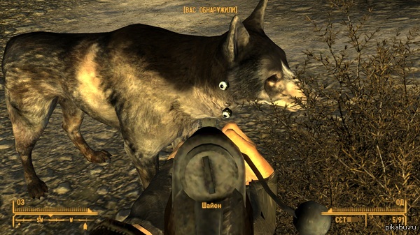 ��������� �� � ��� �������