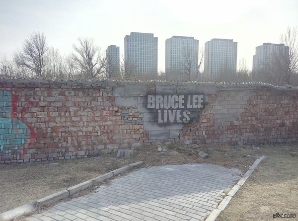 Bruce Lee Lives