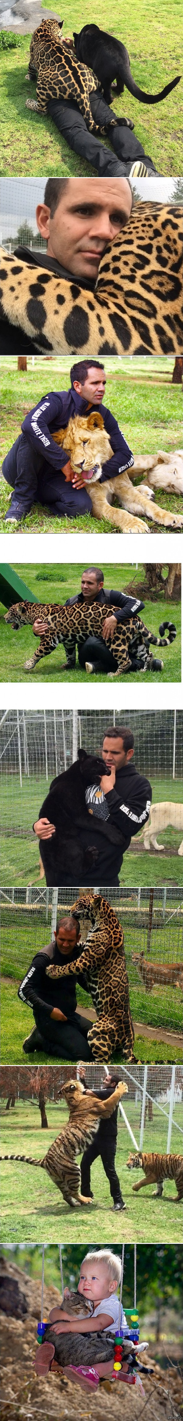 ������� ���������