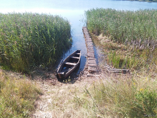 ����� �����