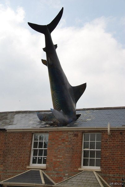 �������������� ���������� ����� � ������ �� ������� ������������� ��������. �������, ��������������.