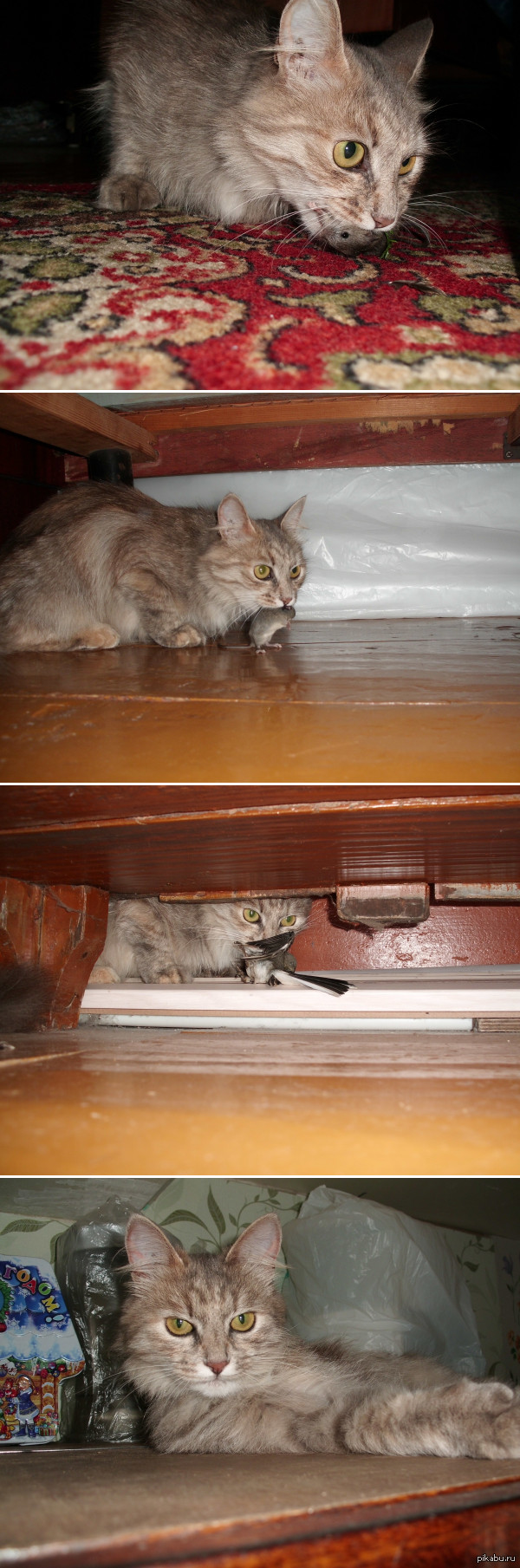 � ���� ������� �����, � � ���� ��������!