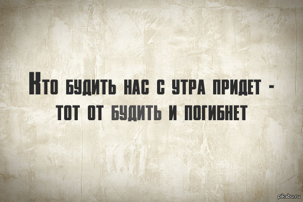 Когда хочешь как следует выспаться...