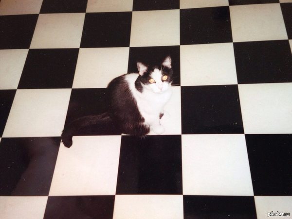 ���� ����� �������� � ������ �����