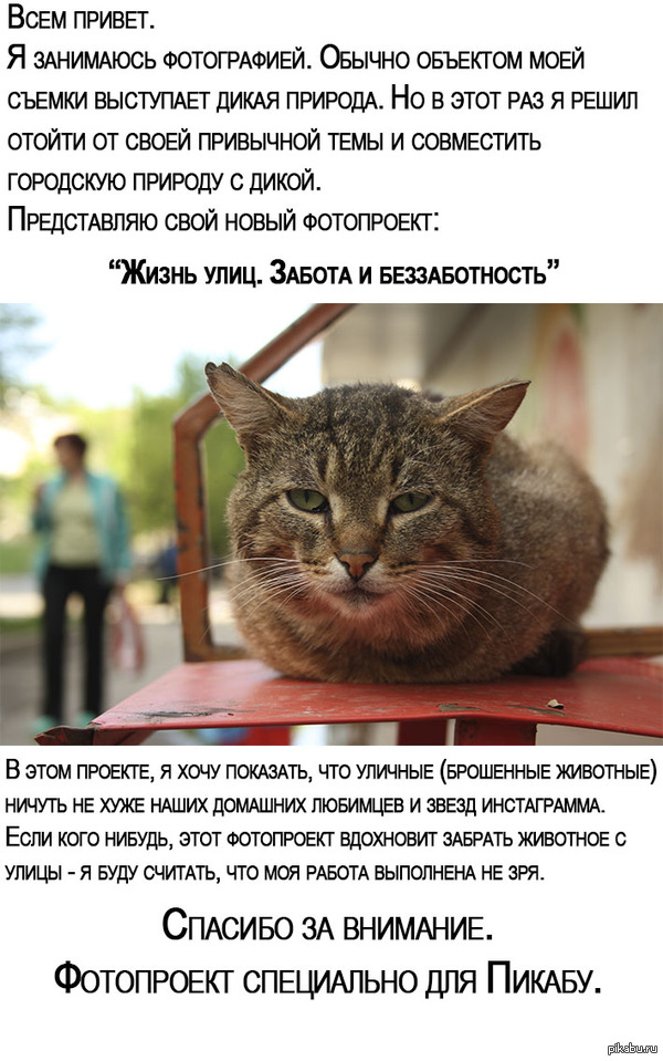 Самодельный Станок Чпу Драйверна К555Тм7