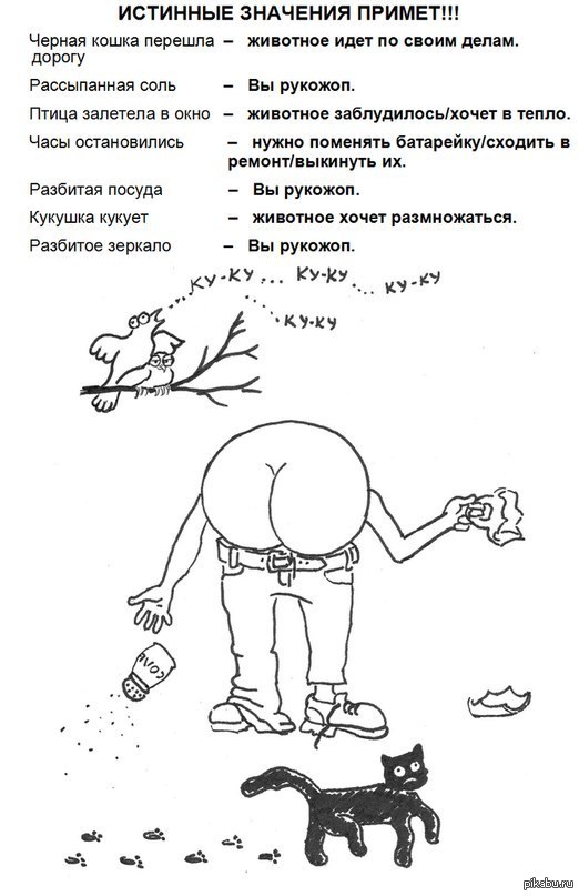 Истинное значение примет. Прикольные приметы. Приметы приколы. Смешные приметы и суеверия. Приметы смешные картинки.