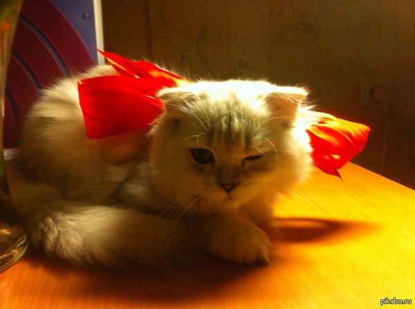 Милый подарок