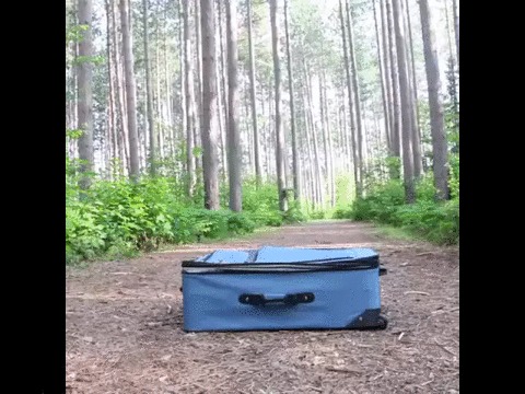   . 