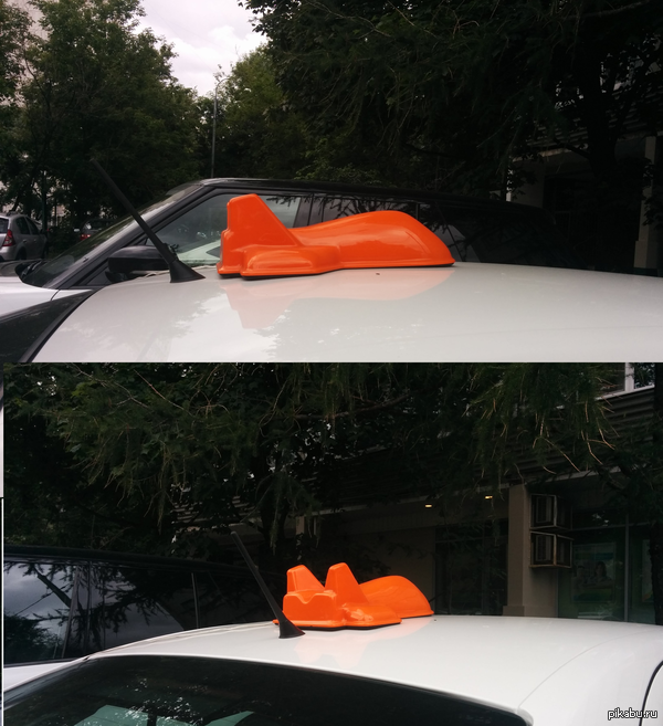 Кот-самолет