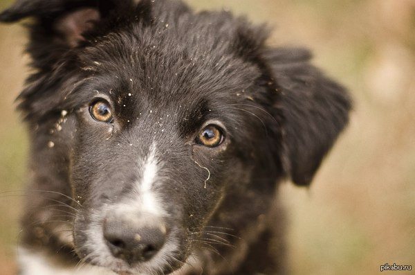 Да просто так...