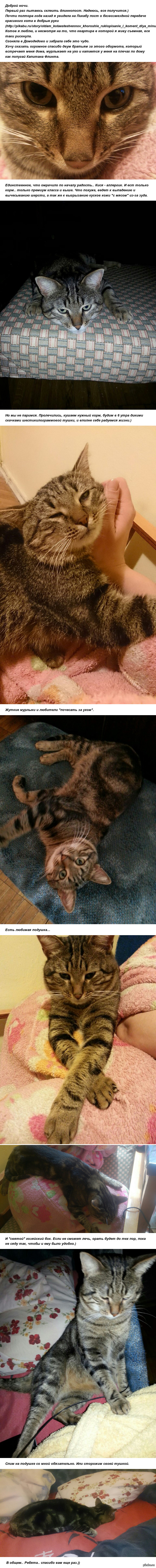 ������� �� �������� ����.