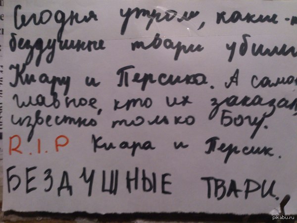 Просто объявление в подъезде. | Пикабу