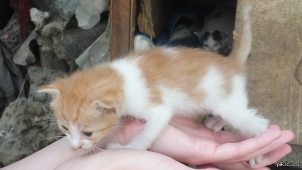 ����������� ����������� �� ����������� ������������! ����� ���� ���� ����� ������ � ���? ��� ���� ������, ��� � �������� ��� �������.