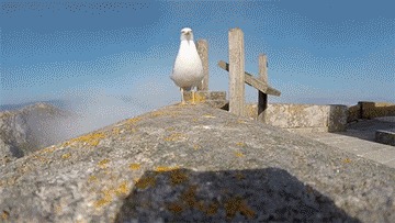  ! 