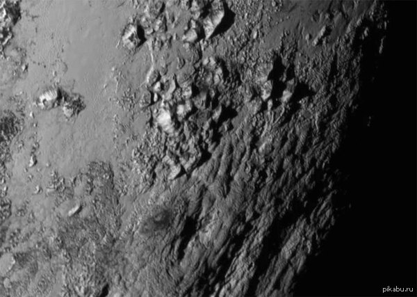 ����� ���� �������