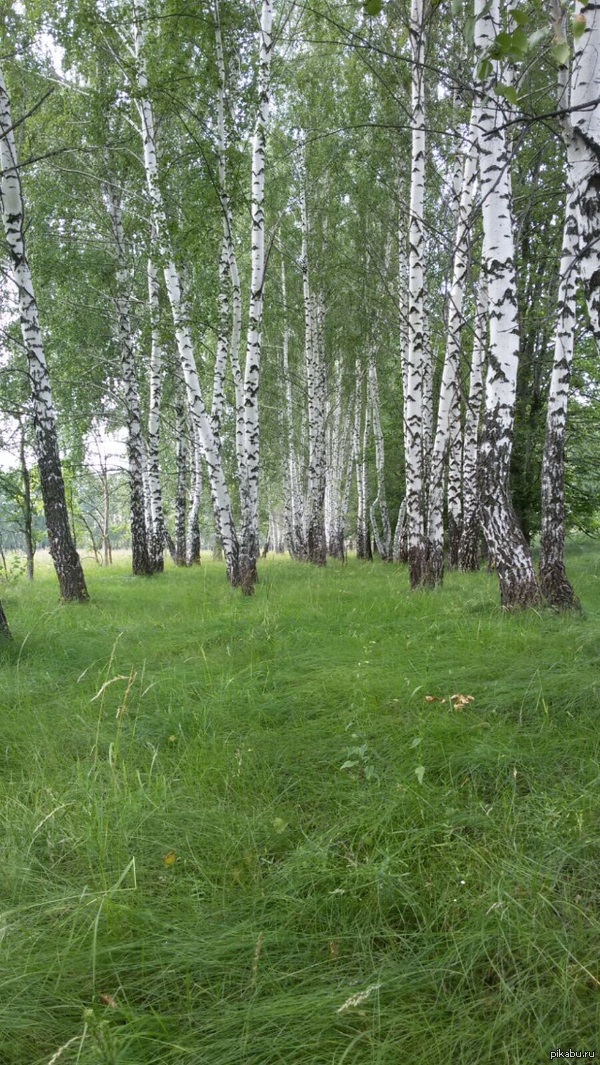 �������� ������