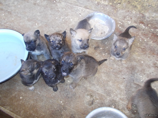 �������� �����������������)