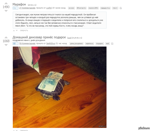 �������� ����������