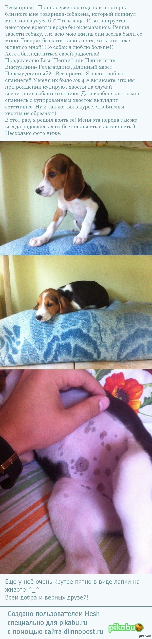 Маленький друг!