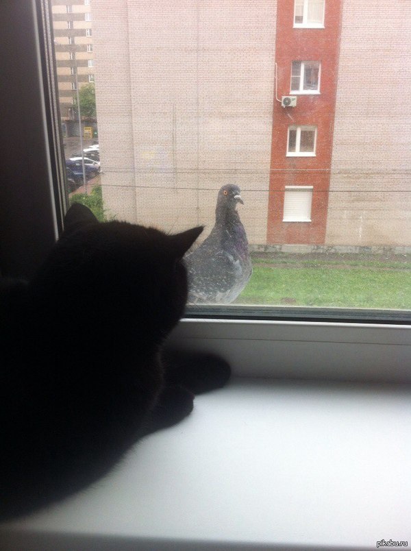 �� ����� �����������!