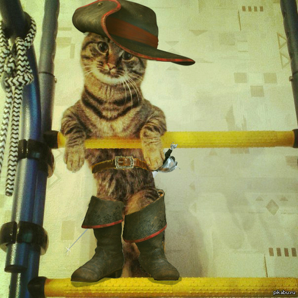 Эххх доброта моя...