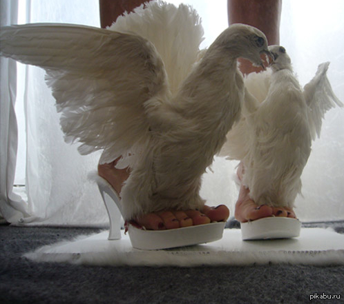 �������� "������ � �����". ��� �� �� ��� � ������ �������.