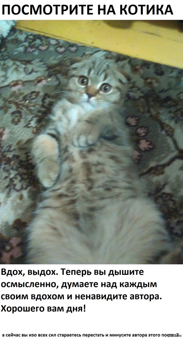 ������ ���� ������ ���